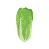 Romaine lettuce icon