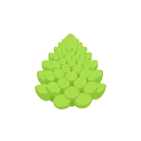 Romanesco icon