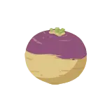 Rutabaga icon