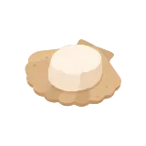 Scallop icon