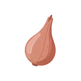 Shallot icon