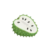 Soursop icon