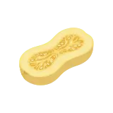 Spaghetti squash icon