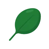 Spinach icon