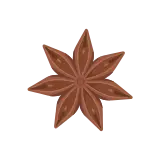 Star anise icon