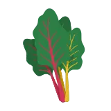 Swiss chard icon
