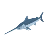 Swordfish icon