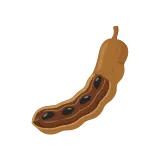Tamarind icon