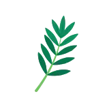 Tarragon icon