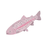 Trout icon