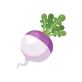 Turnip icon