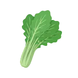Turnip greens icon