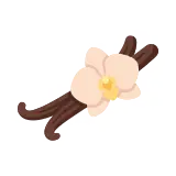 Vanilla icon