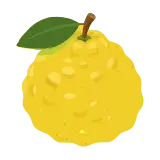 Yuzu icon